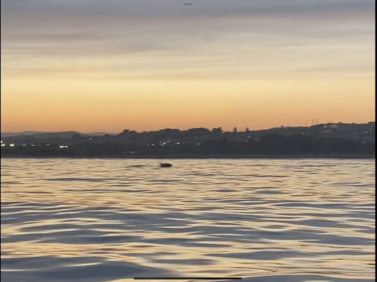 Barca e bevande al tramonto