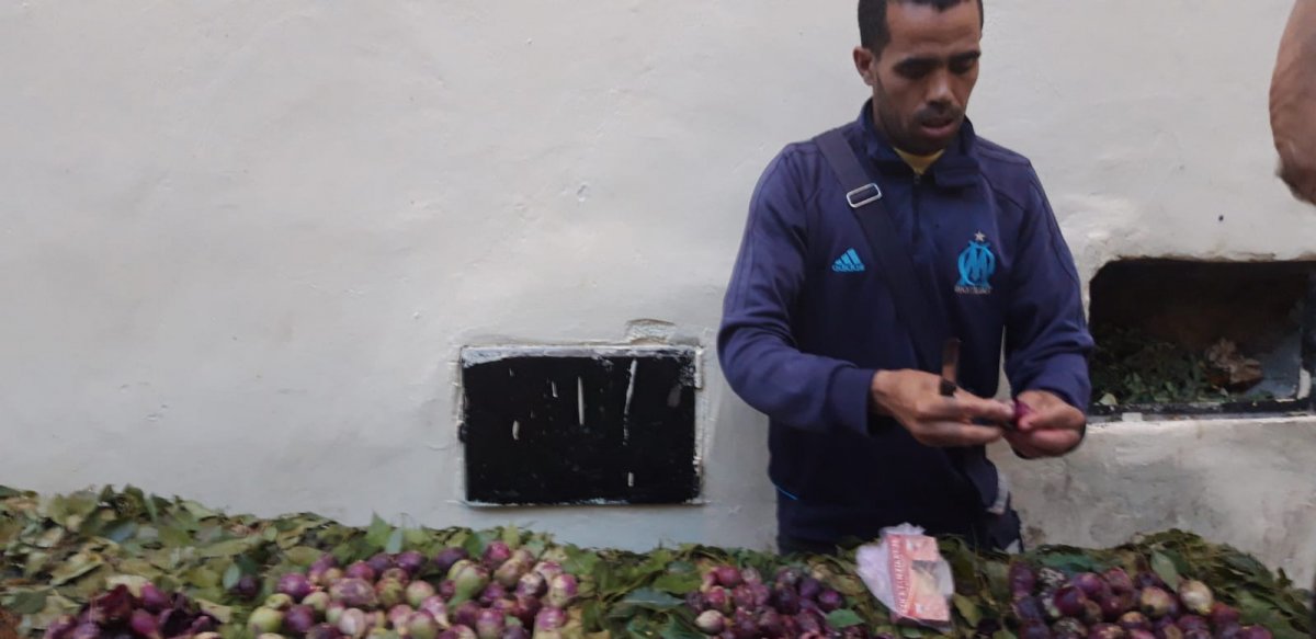 Navega hacia Melilla en un velero