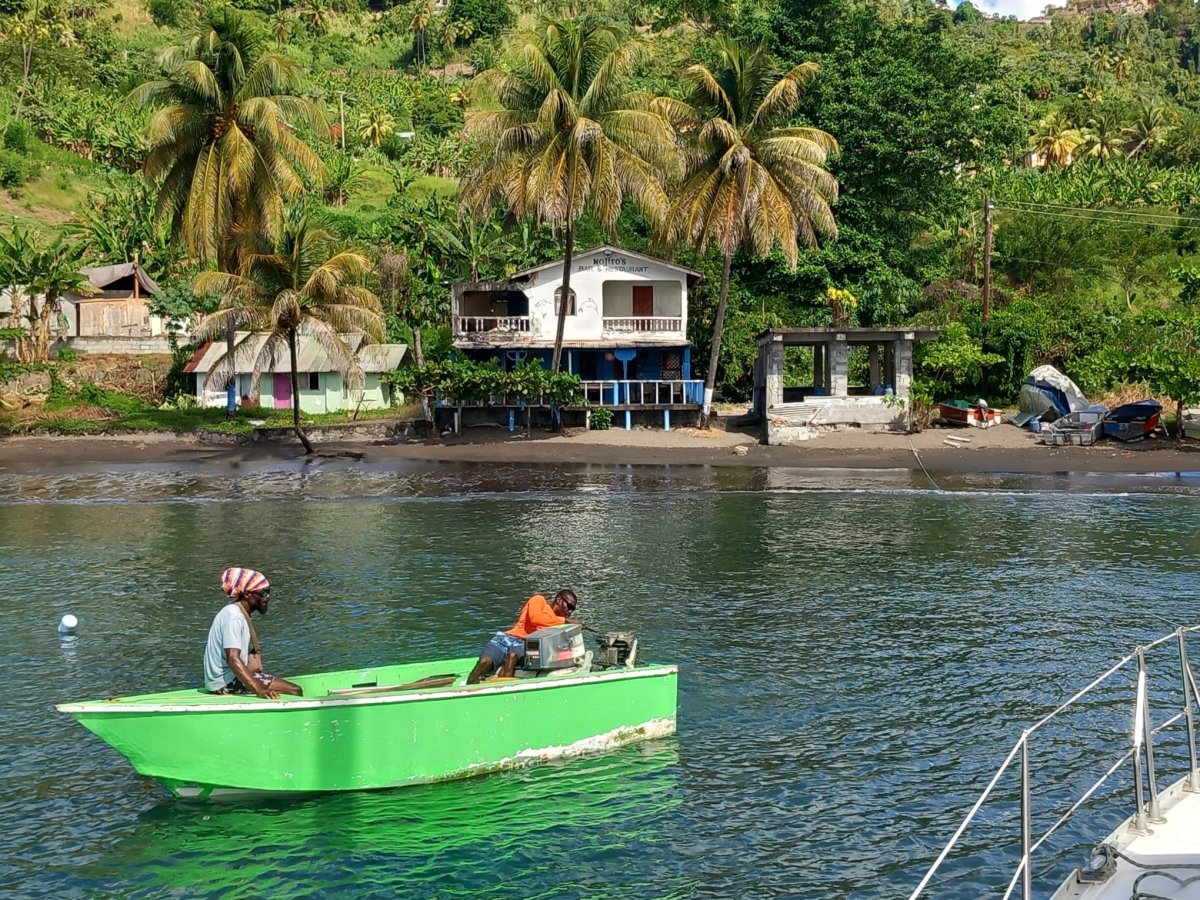 Descubre los secretos del mar en Saint Martin