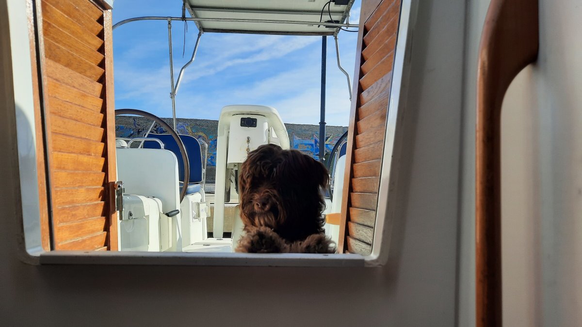 Esplora i fiumi più belli del pianeta in un viaggio in barca