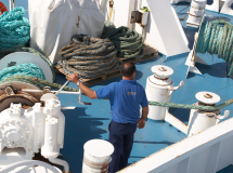 fotos web faro_Página_09_Imagen_0001.png