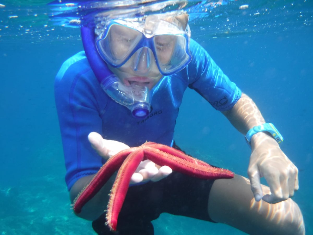 Aprende a navegar en las islas Flegreo y Pontine