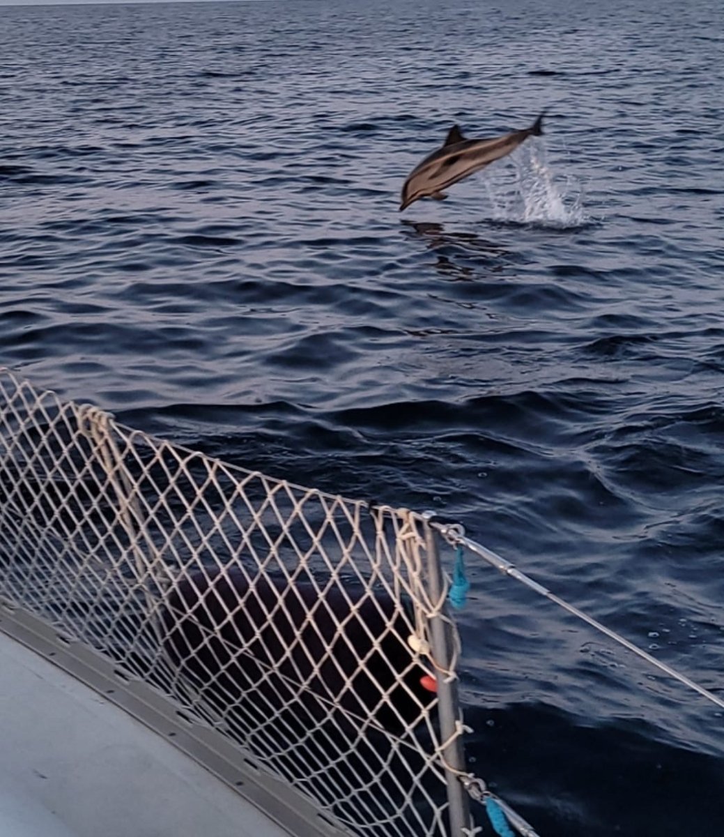 Curso de navegación en velero