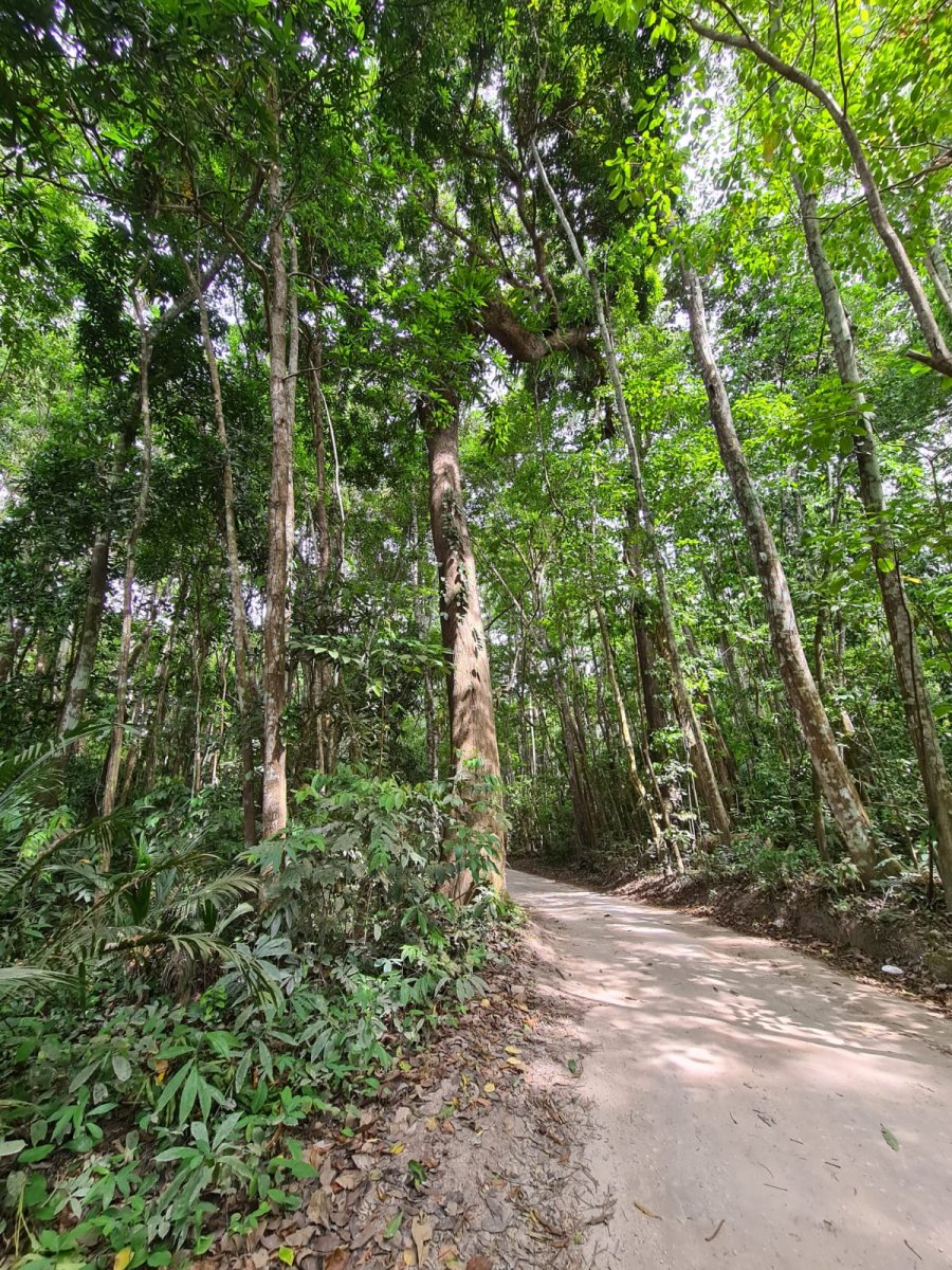 Cruceros en catamarán por las islas de Zanzíbar y Pemba