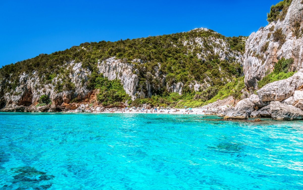 Enjoy the Clear Waters