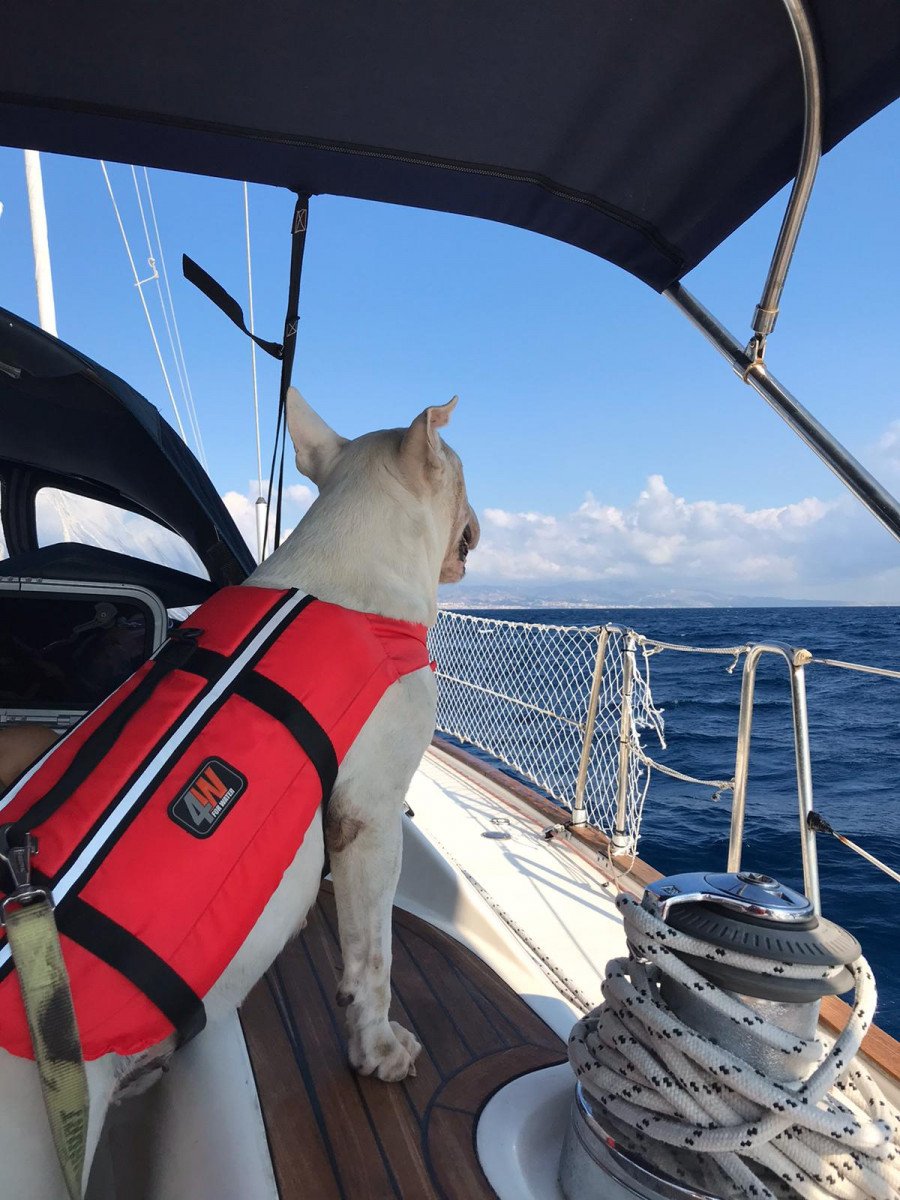 Bavaria Yachts - 10 people