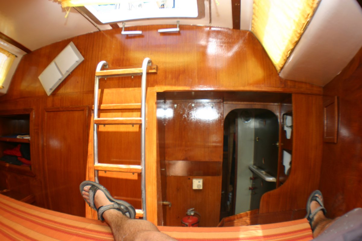 Tall Ship - Mimi - Koala 50