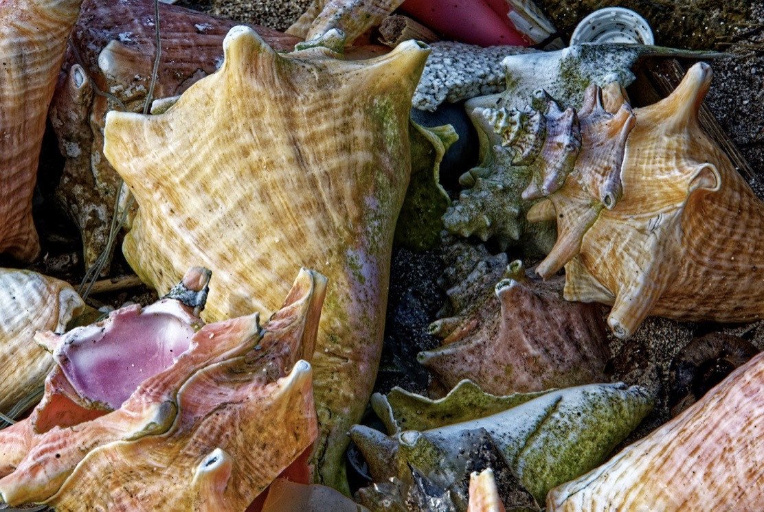 80E3D542-08E2-4DA7-8802-9D6BDE0B0D5C