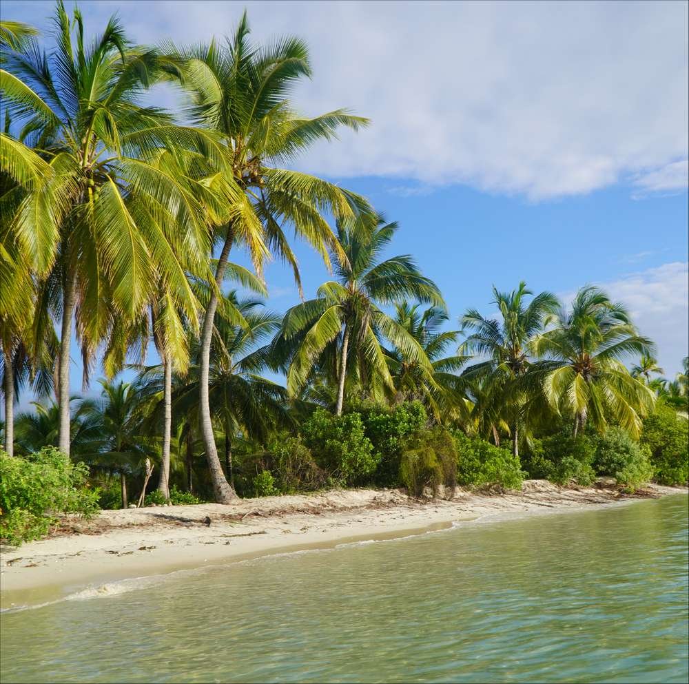 Viaje en catamarán a Zanzíbar y Pemba