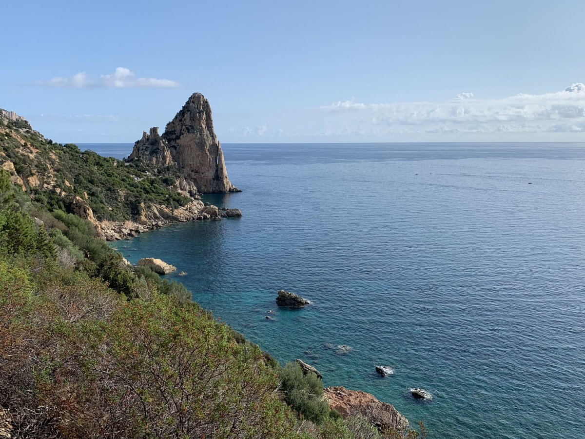 Discovering Wild Coves and Beaches