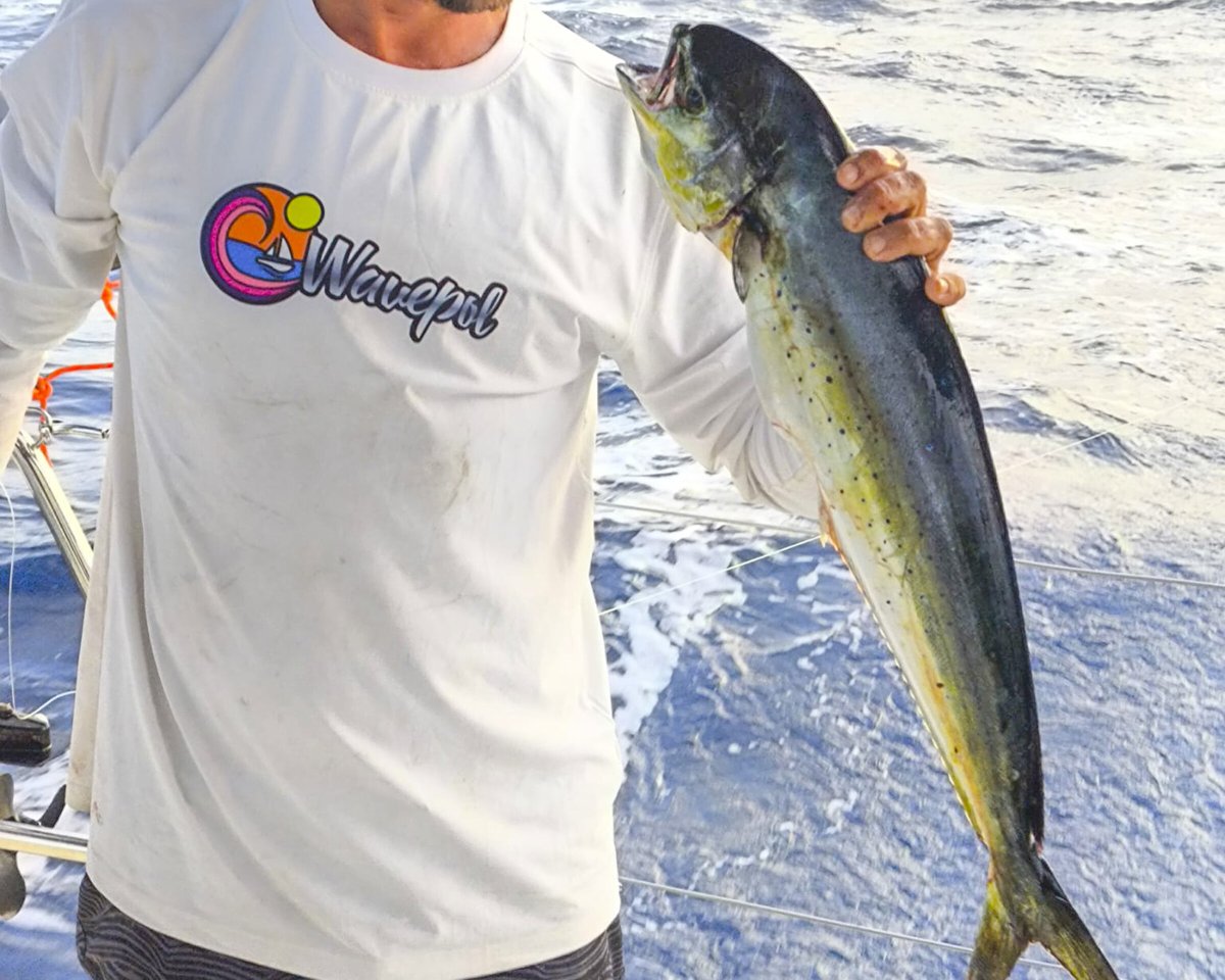 Atlantic in catamaran flotilla: Cape Verde to St. Martin