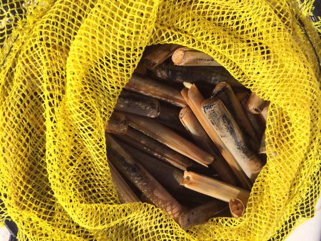 vacaciones en velero por el rompido 