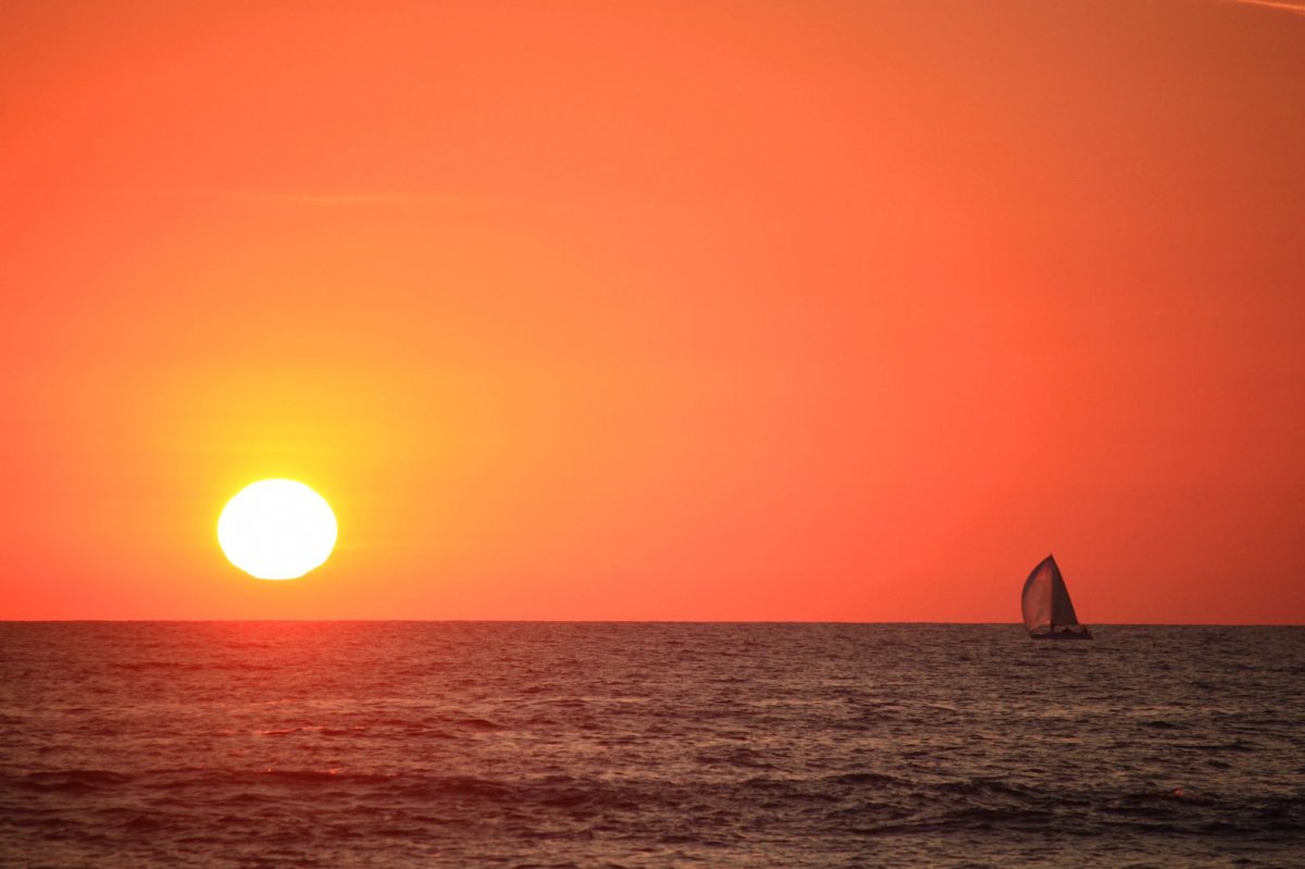 Sailboat in the sea with green waves
