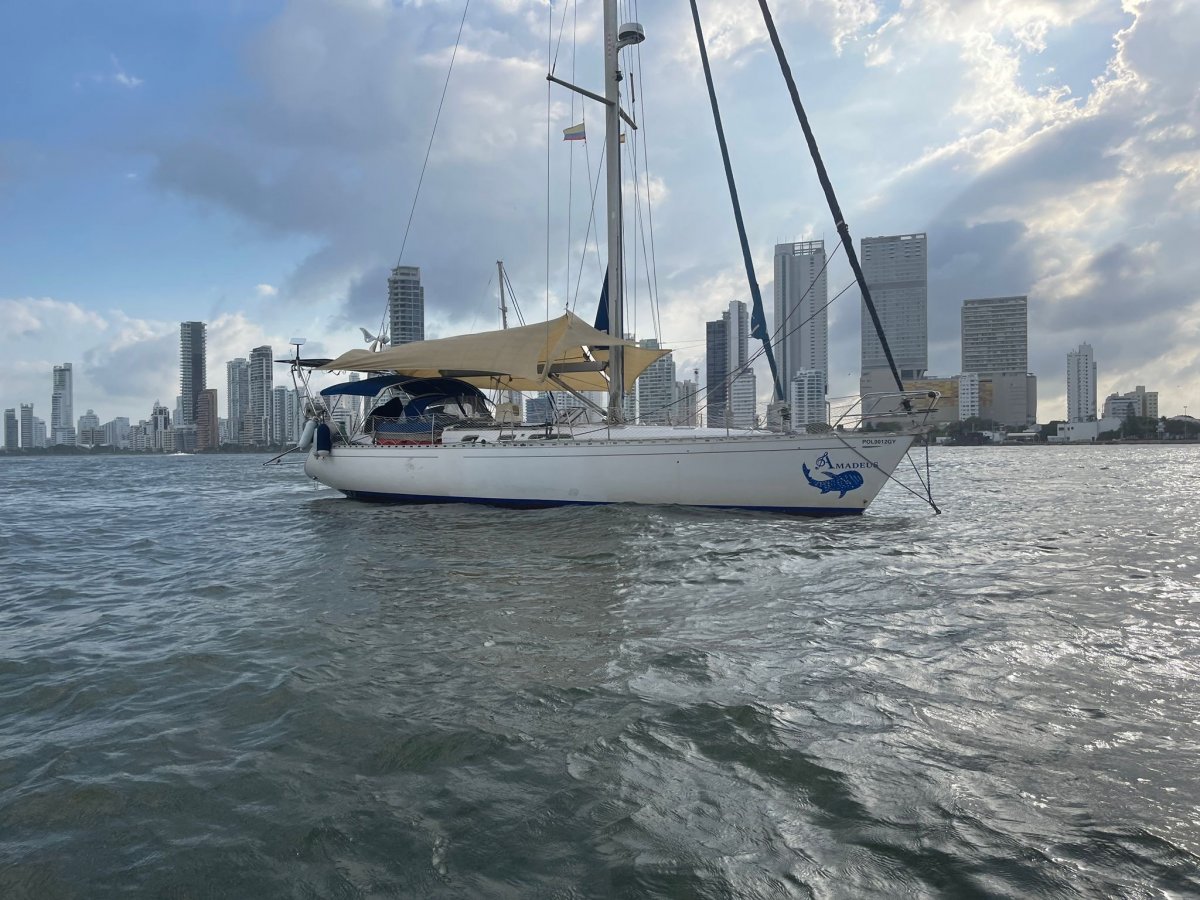 20609d3d-dd96-483c-a3bf-28a544c726e6