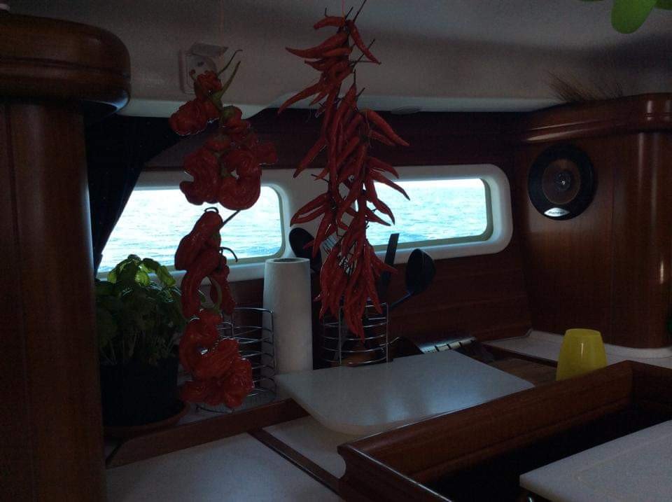 Bénéteau - 2 bagni