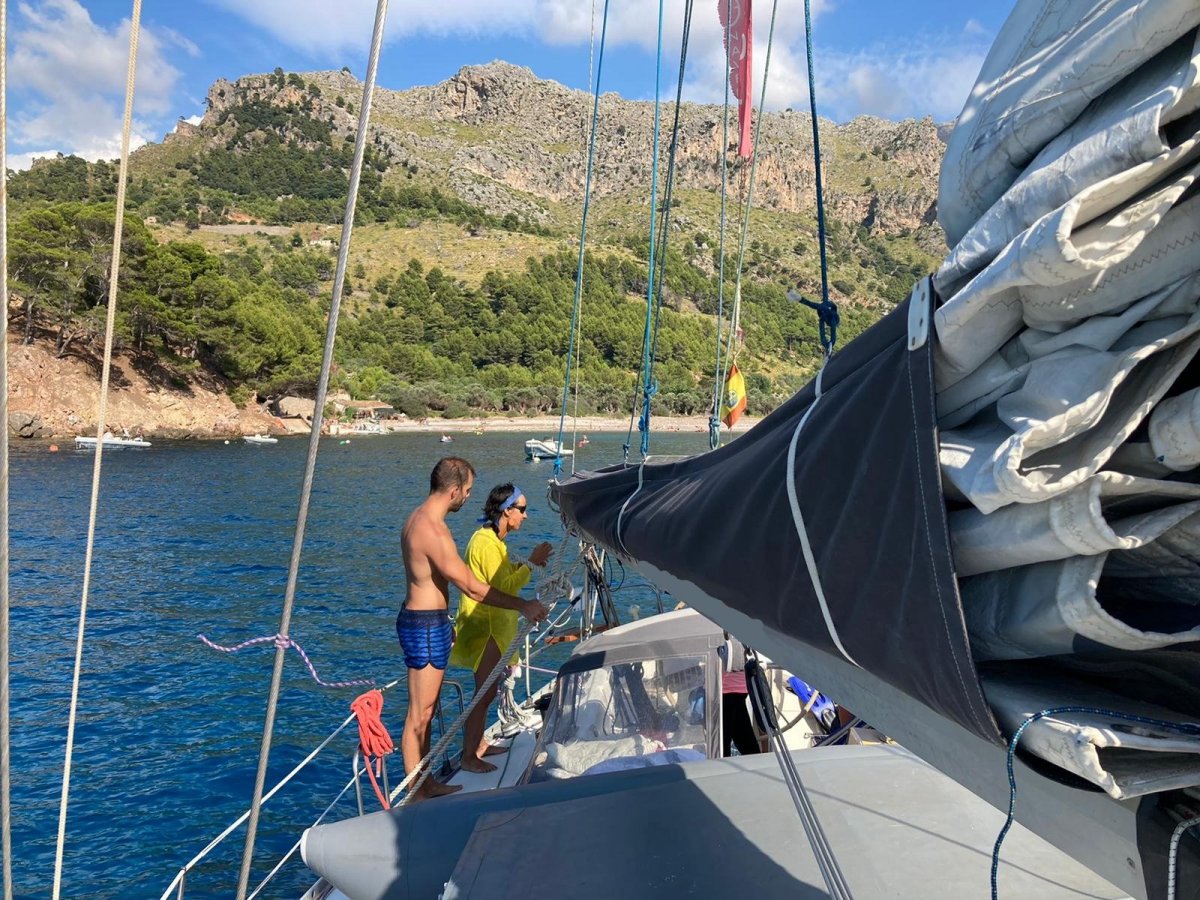 6661d8cc24e524.89778649