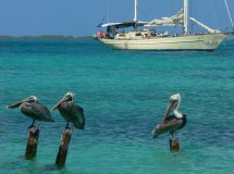los roques 2007 417