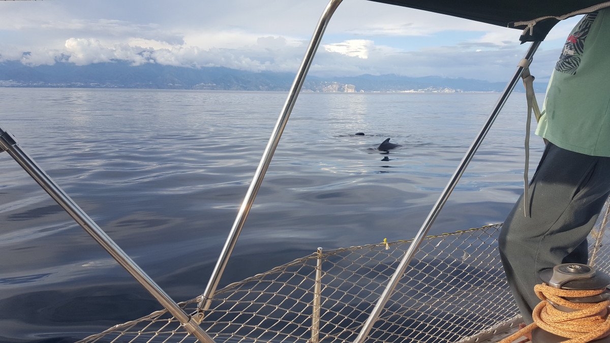 Velero - North Wind - 1986