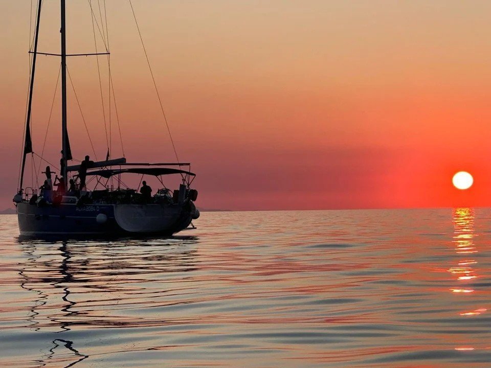 9fd8d88a-3308-4ab7-9742-f4abf61e009a (1)