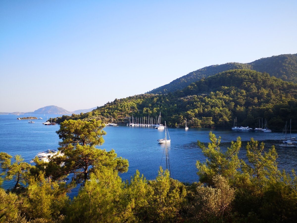 Imparare a navigare in primavera