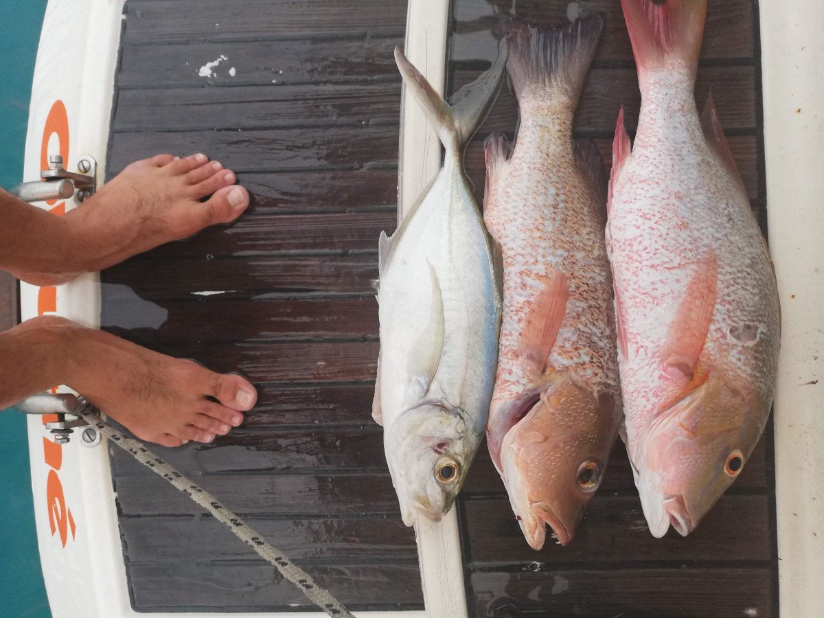 Velero---Jeanneau---12.35-metros