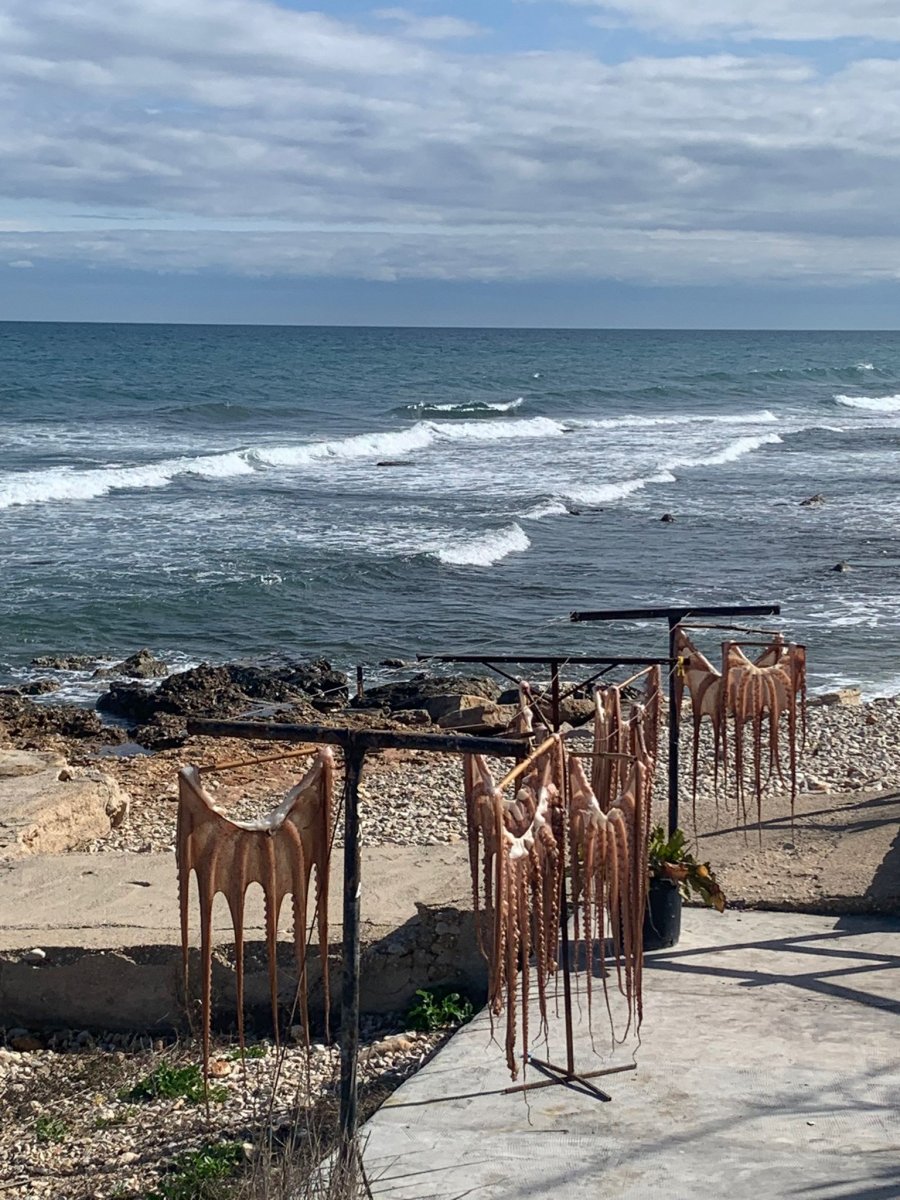 Navegando por la costa de Denia