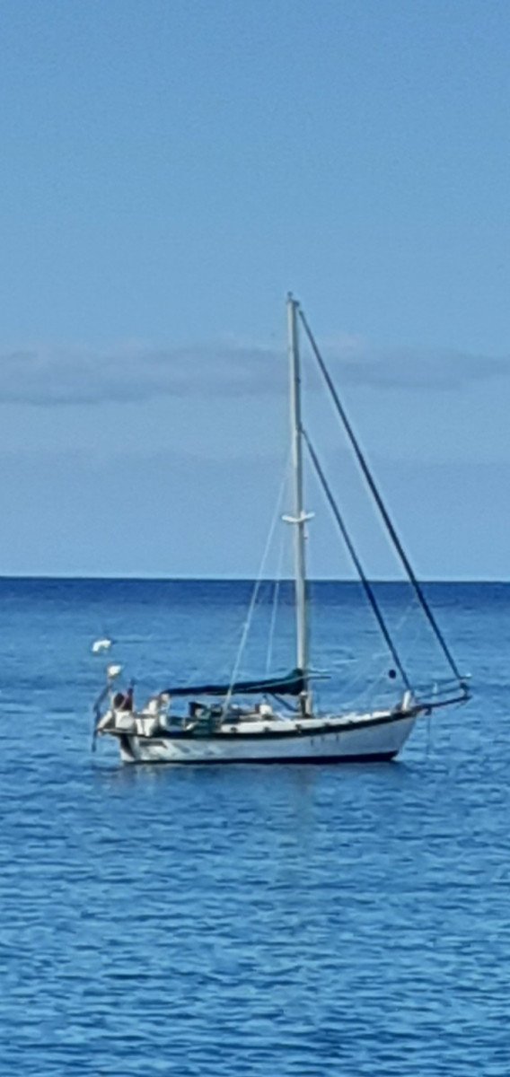 Segelboot - Mariah - 1975