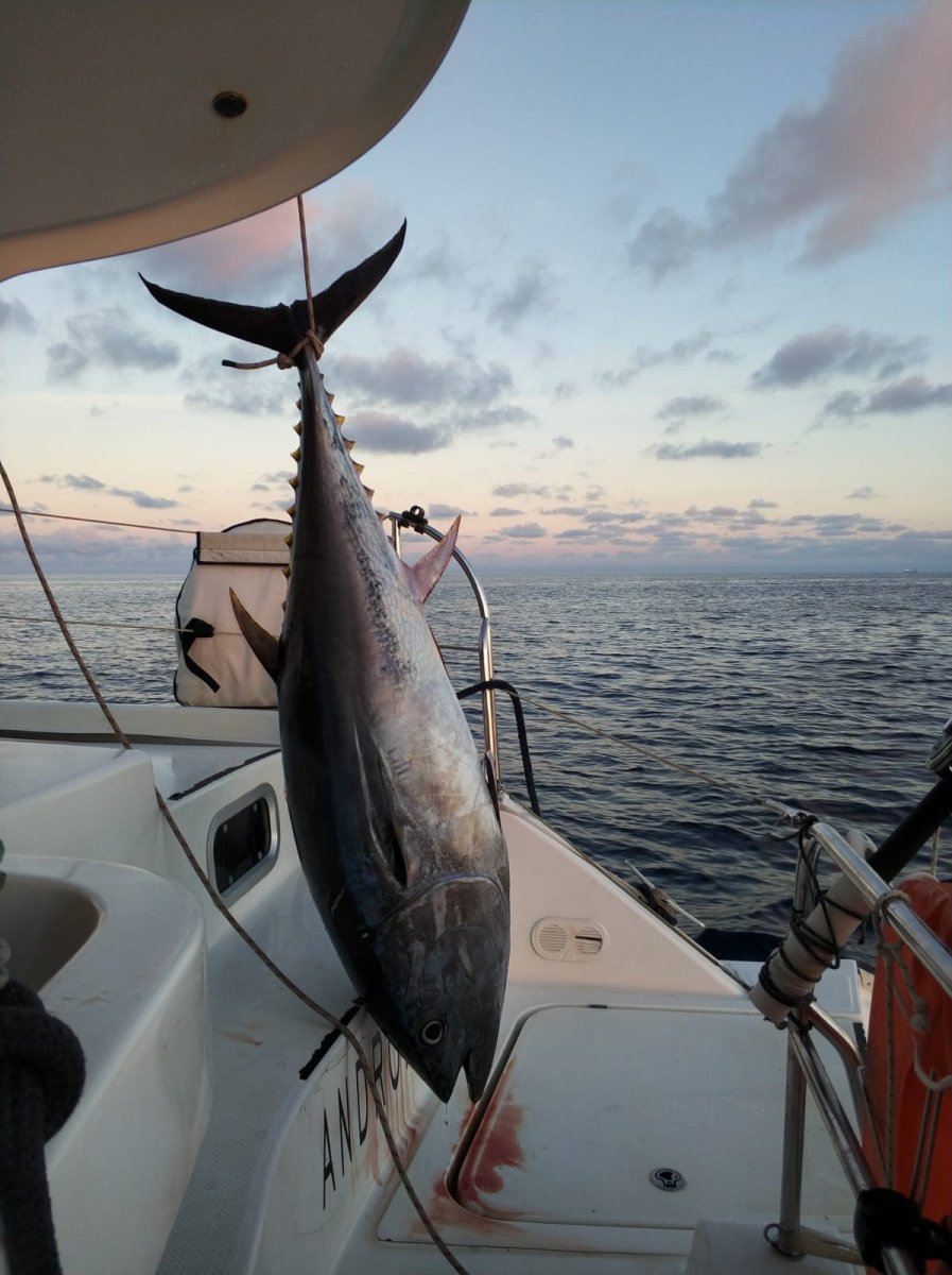 Sailing Adventure from Tivat to Rome