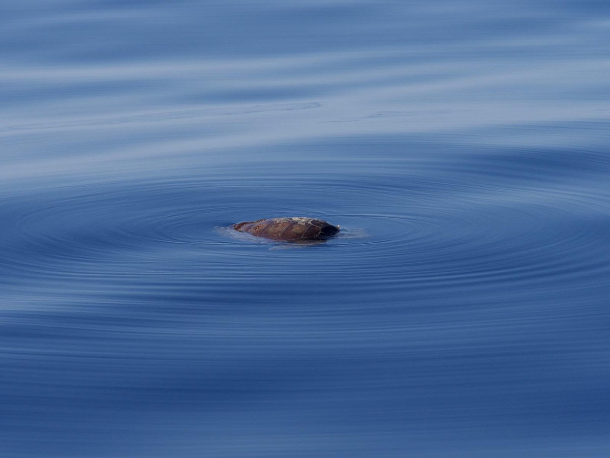 Segelurlaub in den griechischen Sporadischen Inseln