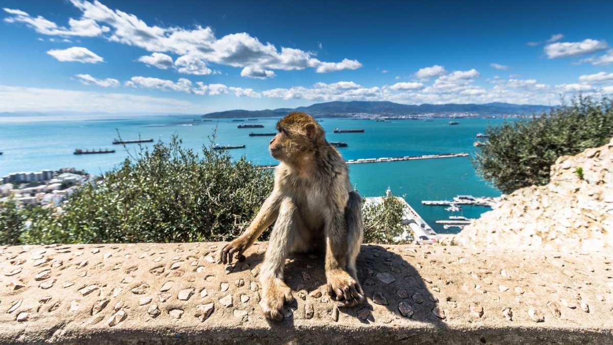 Unique destinations in the Mediterranean South from Valencia to Seville