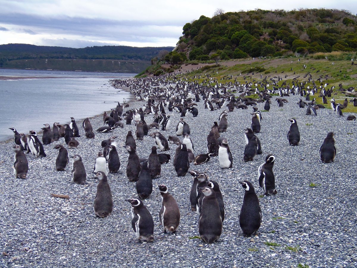 Nautical challenge crossing Cape Horn