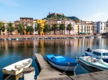 Dolphin and whale watching on the Emerald Coast