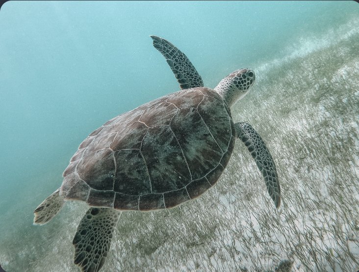 Segelboot in thailändischen Gewässern