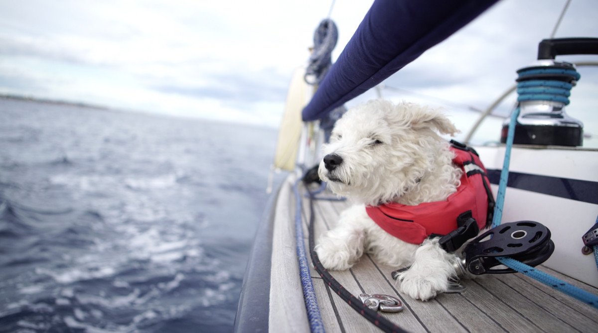 sailing-sailing-torrevieja