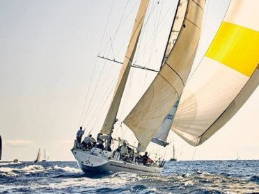 Fisher and Paykel1
