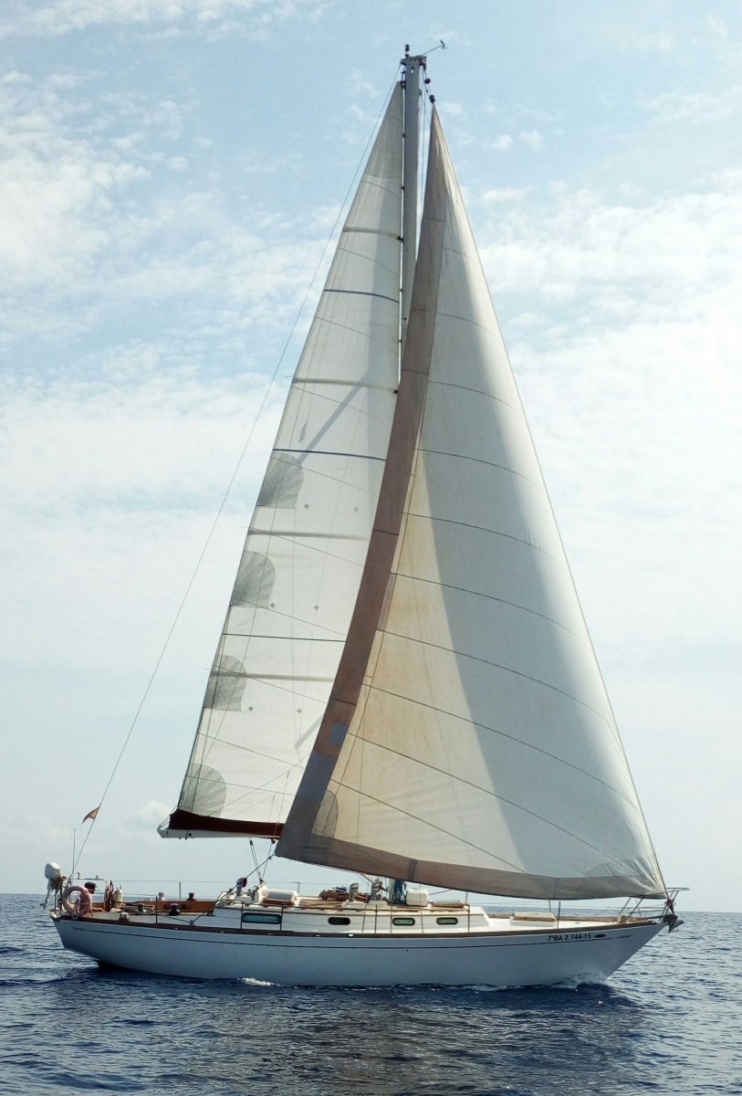 Explore the Mediterranean waters from Palamós, Blanes or Roses