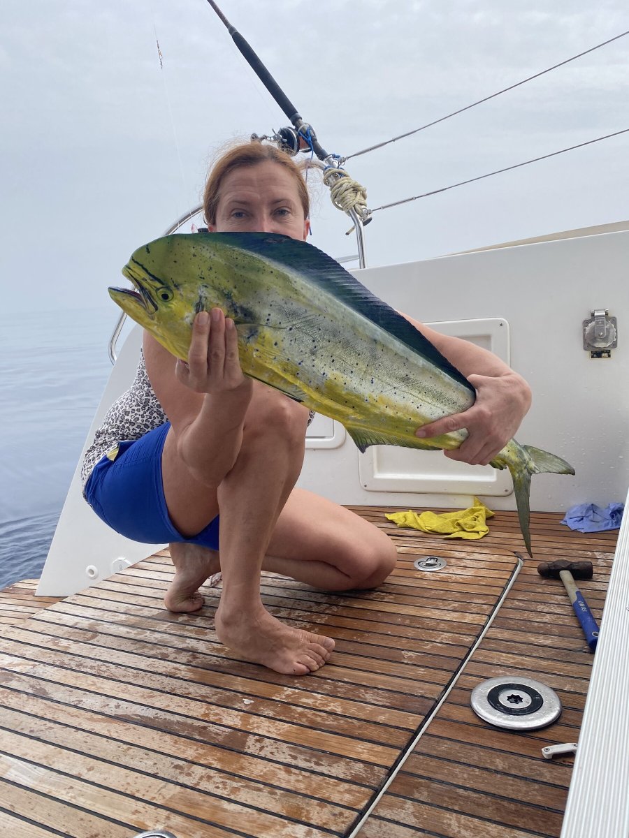 Segeln Richtung Martinique
