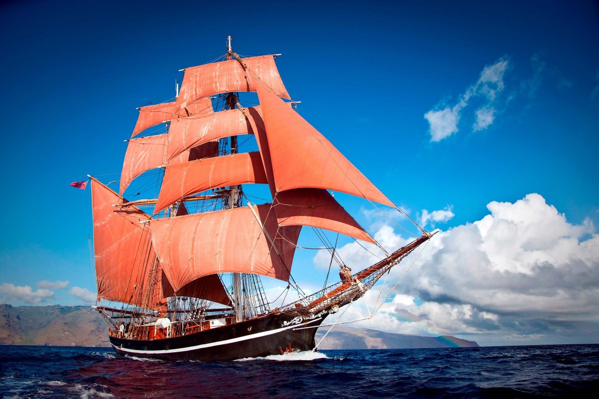 Explora las islas volcánicas de Madeira y Tenerife