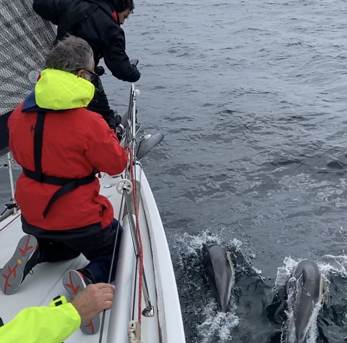 Navigare in Galizia: corso intensivo e avventura in mare