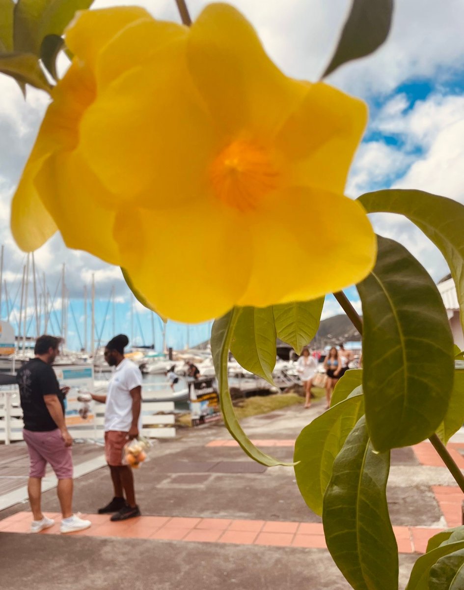 Friends enjoying a peaceful sail