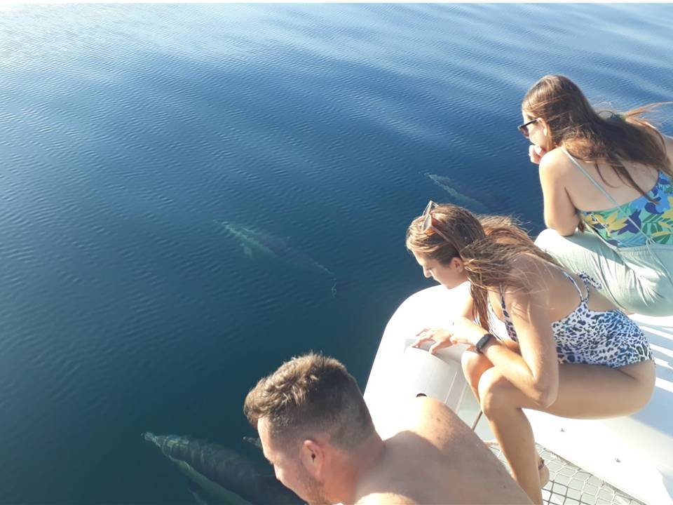 Viaje en catamarán desde Cartagena a la Isla de Tabarca