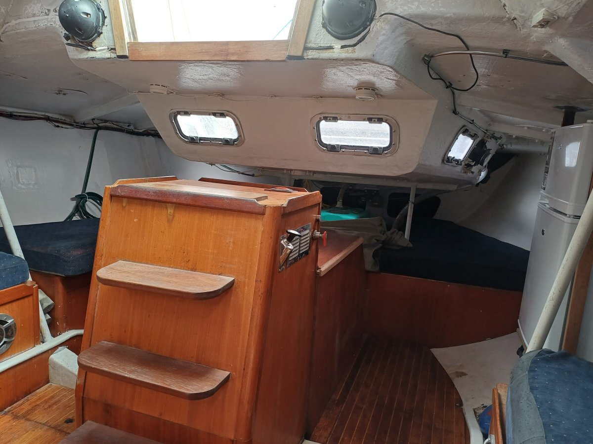 Belliure - 6 personas