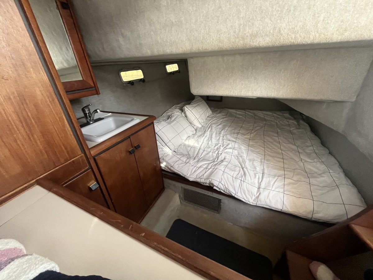 Motore - Bayliner - 10 persone