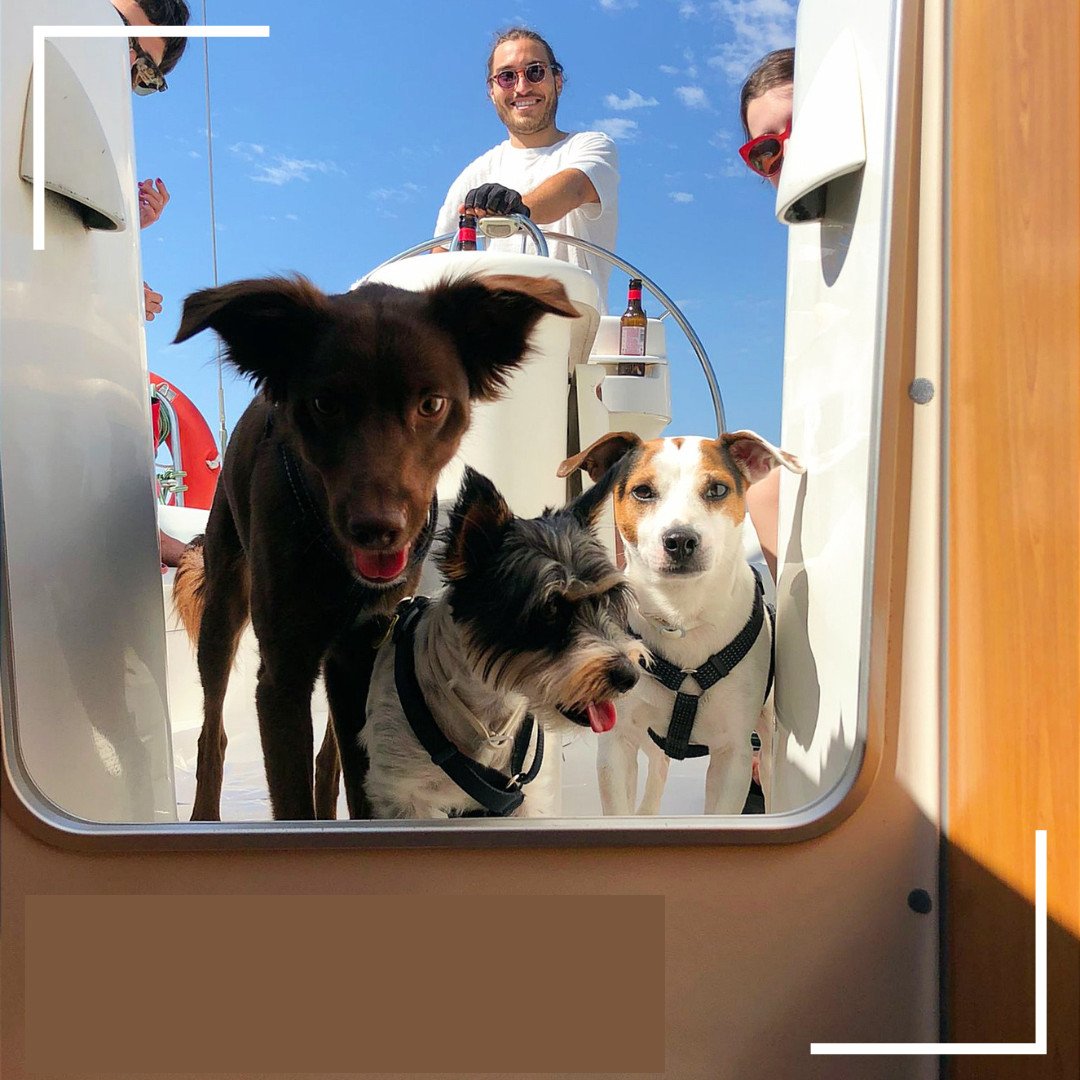A coastal boat tour from Premià de Mar