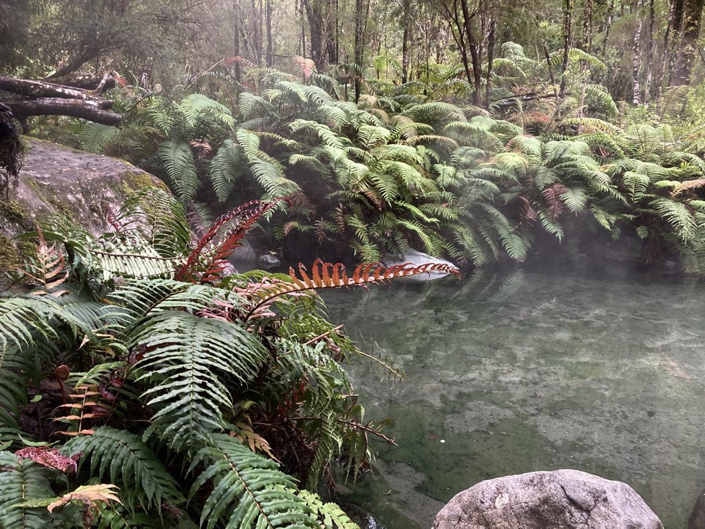 Velero - Westerly - OceanMaster 48
