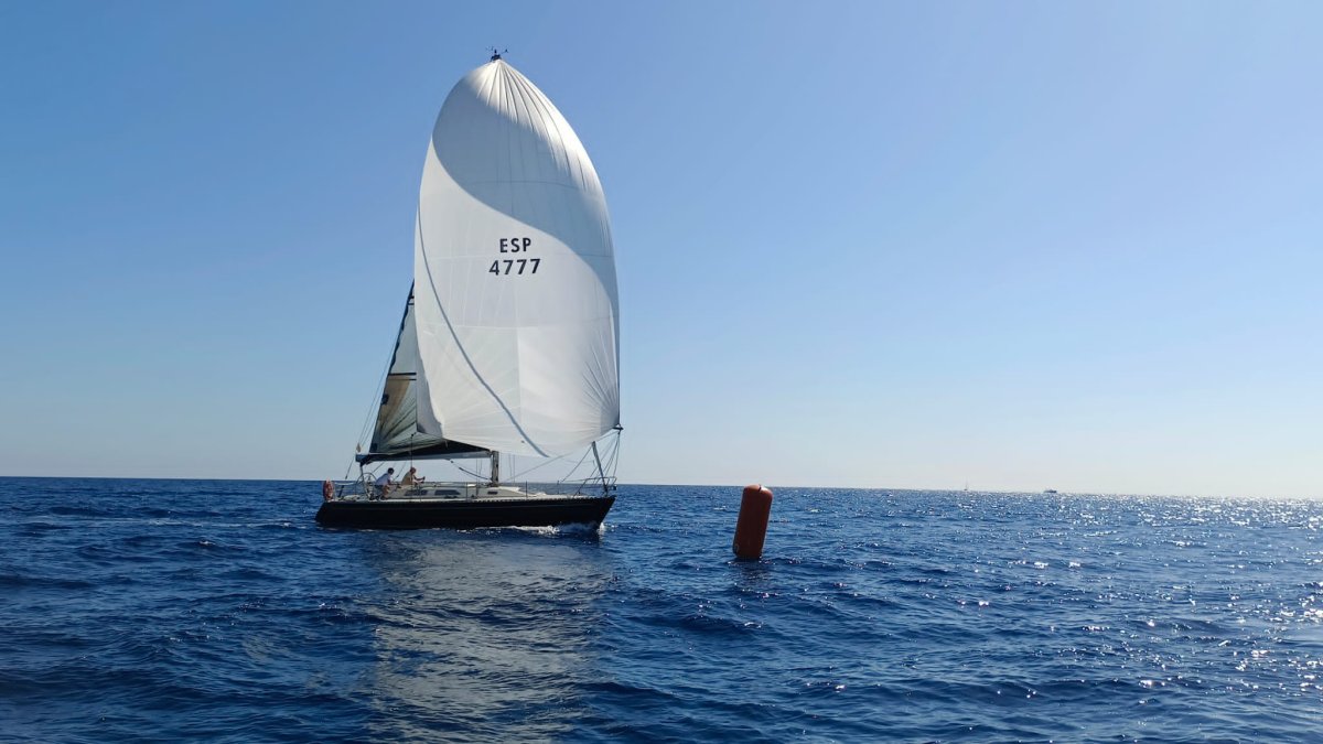 Barche di lusso per le regate