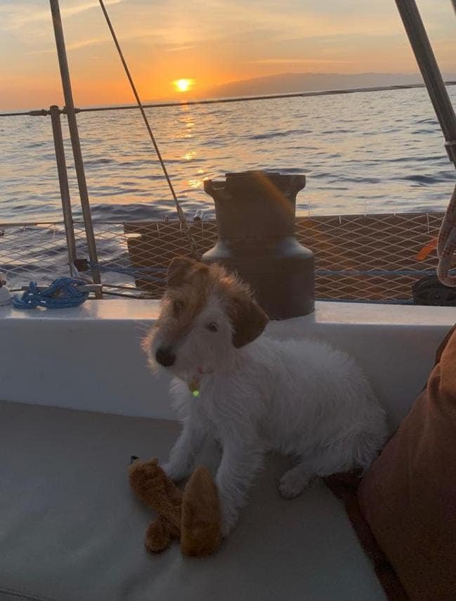 Urlaub Segeln Palma Mallorca 18m Ketsch alles inklusive