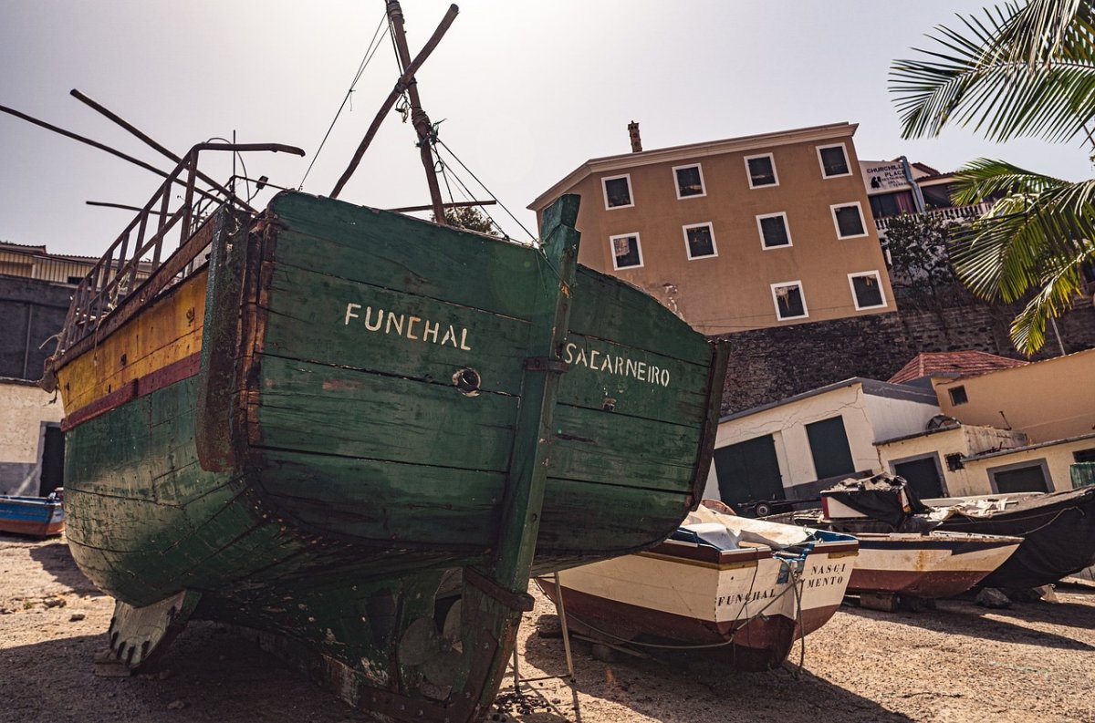 Esplora le isole della Macaronesia con un'escursione in catamarano