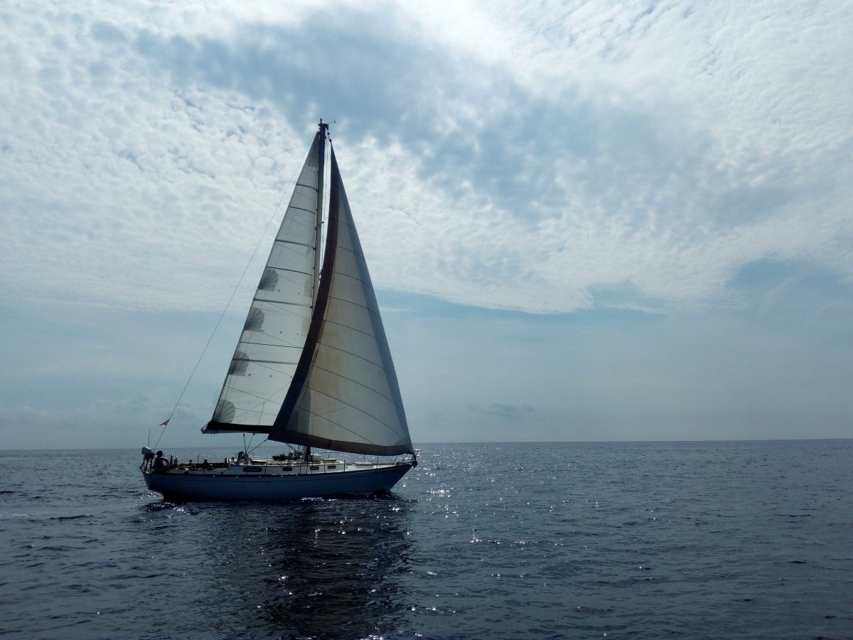 Ein Tagesausflug von Palamós, Blanes oder Roses