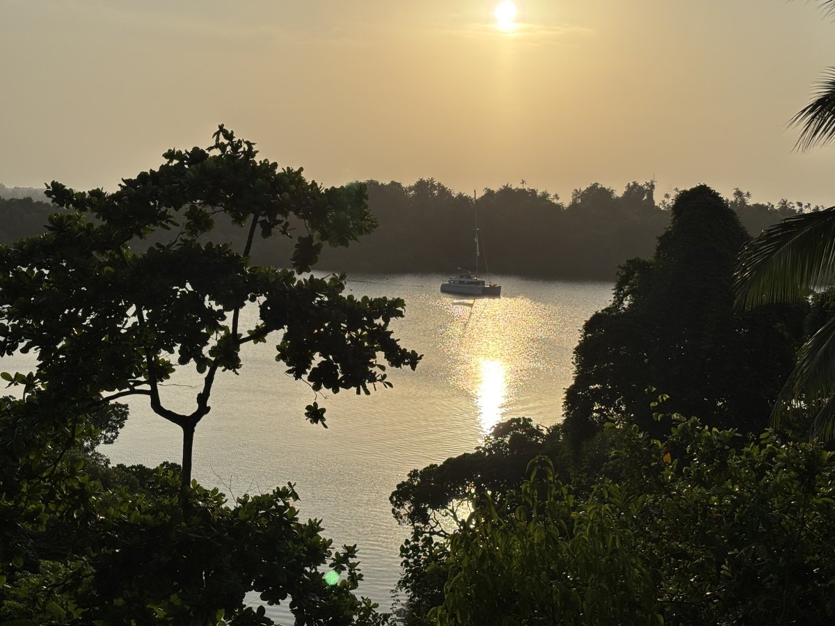 Boat Trip to Paradise Waters